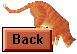 Back to Neko4