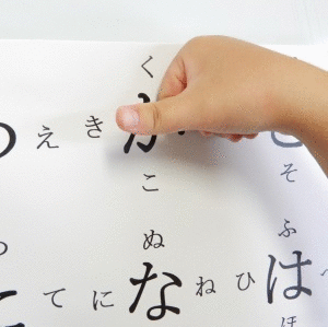 ”きん”の事例