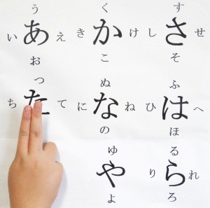 shoti01.gif