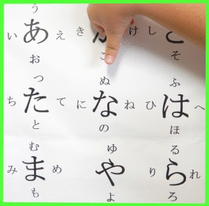 konnnyaku01.gif