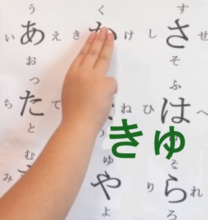 kya01dd