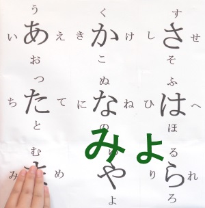 myo06ccc.jpg