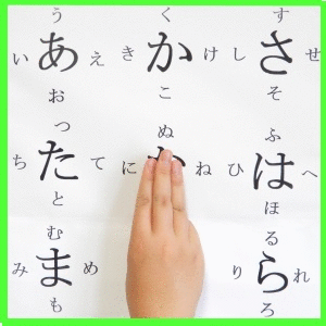 nyuseihin01.gif