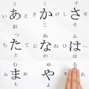 ryukou01.gif