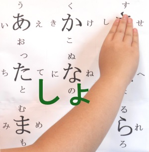 sho06.jpg