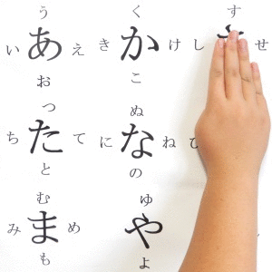 shoti01.gif